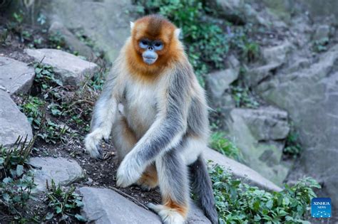 玉合公園怎麼樣 可以從不同的角度來探討這個主題。